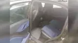BYD Dolphin Mini - Miniatura 8