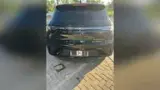 BYD Dolphin - Miniatura 5