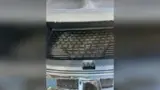 BYD Dolphin - Miniatura 6