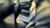 BYD Dolphin - Miniatura 7