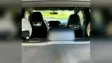BYD Dolphin - Miniatura 8