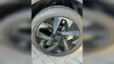 BYD Dolphin - Miniatura 9