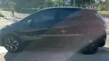 BYD Dolphin - Miniatura 10