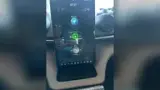 BYD Dolphin - Miniatura 12