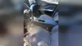 BYD Dolphin Mini - Miniatura 7