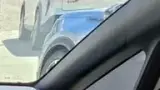 BYD Dolphin - Miniatura 13