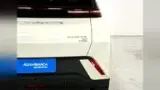 BYD Dolphin Mini - Miniatura 8