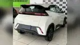 BYD Dolphin Mini - Miniatura 7
