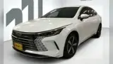 BYD King - Miniatura 1