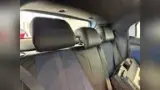 BYD Dolphin Mini - Miniatura 15