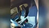 BYD Dolphin Mini - Miniatura 10