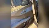 BYD Dolphin Mini - Miniatura 11