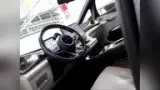 BYD Dolphin - Miniatura 4