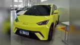 BYD Dolphin Mini - Miniatura 1