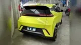 BYD Dolphin Mini - Miniatura 2