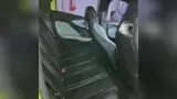 BYD Dolphin Mini - Miniatura 9