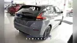 Nissan Leaf - Miniatura 16