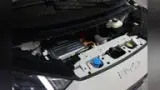 BYD Dolphin Mini - Miniatura 10