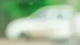 BYD Dolphin Mini - Miniatura 10
