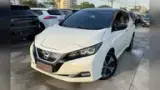 Nissan Leaf - Miniatura 1