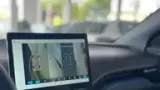 BYD Dolphin Mini - Miniatura 10