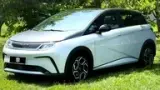 BYD Dolphin Plus - Miniatura 3