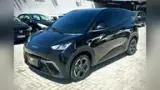 BYD Dolphin Mini - Miniatura 1