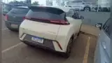 BYD Dolphin Mini - Miniatura 2