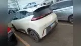 BYD Dolphin Mini - Miniatura 4