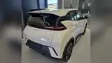 BYD Dolphin Mini - Miniatura 2