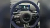 BYD Dolphin Mini - Miniatura 6