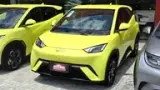 BYD Dolphin Mini - Miniatura 2