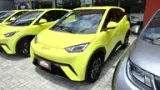 BYD Dolphin Mini - Miniatura 15