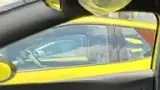 BYD Dolphin Mini - Miniatura 18