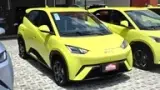 BYD Dolphin Mini - Miniatura 1