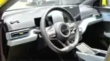 BYD Dolphin Mini - Miniatura 3