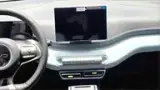 BYD Dolphin Mini - Miniatura 10