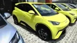 BYD Dolphin Mini - Miniatura 11