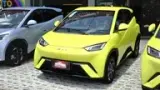 BYD Dolphin Mini - Miniatura 12