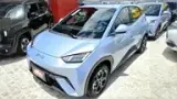 BYD Dolphin Mini - Miniatura 15