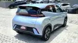 BYD Dolphin Mini - Miniatura 8