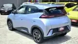 BYD Dolphin Mini - Miniatura 9