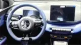 BYD Dolphin Mini - Miniatura 16
