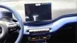 BYD Dolphin Mini - Miniatura 18