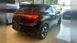 BYD Dolphin - Miniatura 16