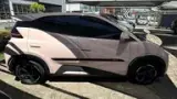 BYD Dolphin Mini - Miniatura 6