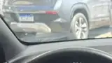 BYD Dolphin Mini - Miniatura 10