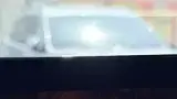 BYD Dolphin Mini - Miniatura 8