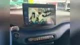 BYD Dolphin Mini - Miniatura 6