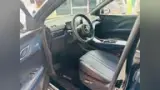 BYD Dolphin Mini - Miniatura 7